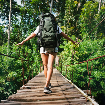 De Onzichtbare Reisgenoten