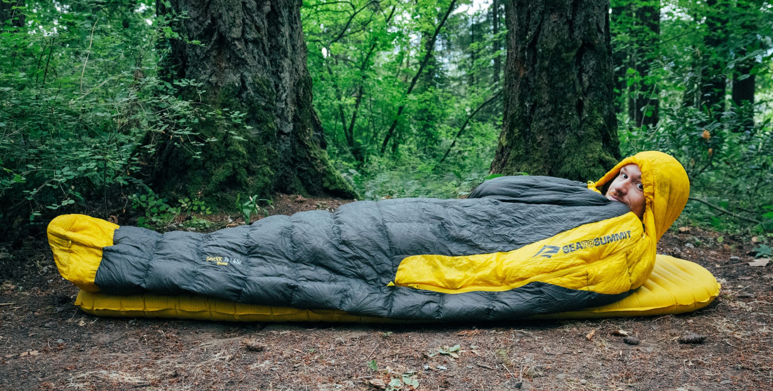 collection-banner-image