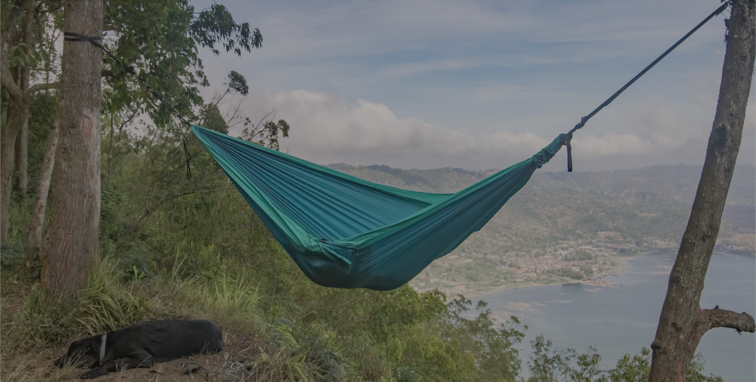 collection-banner-image