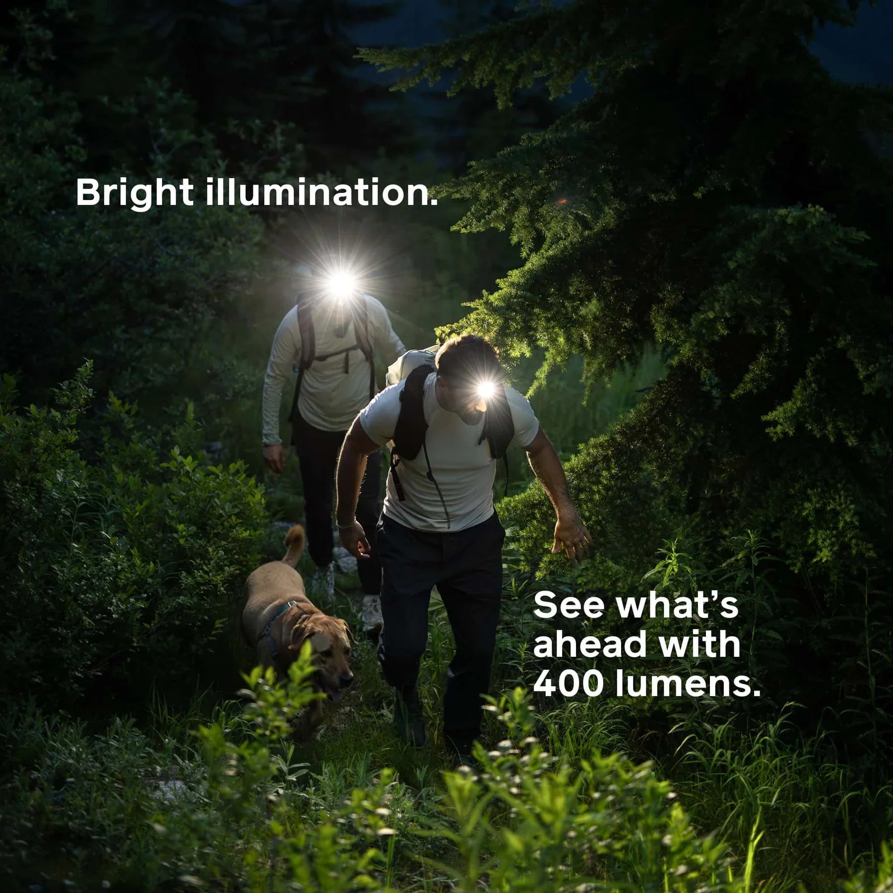 BioLite hoofdlamp 400 lumen ultralicht, snel USB-C laden - Outdoor Food