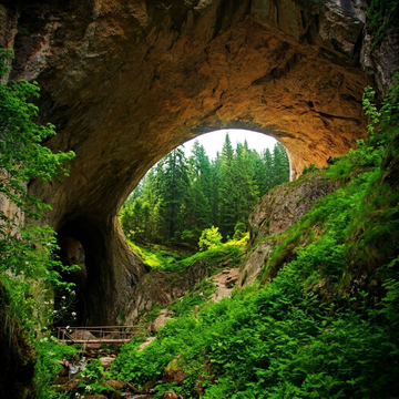 Rhodopegebergte, Bulgarije: De Mystieke Bossen van Orpheus