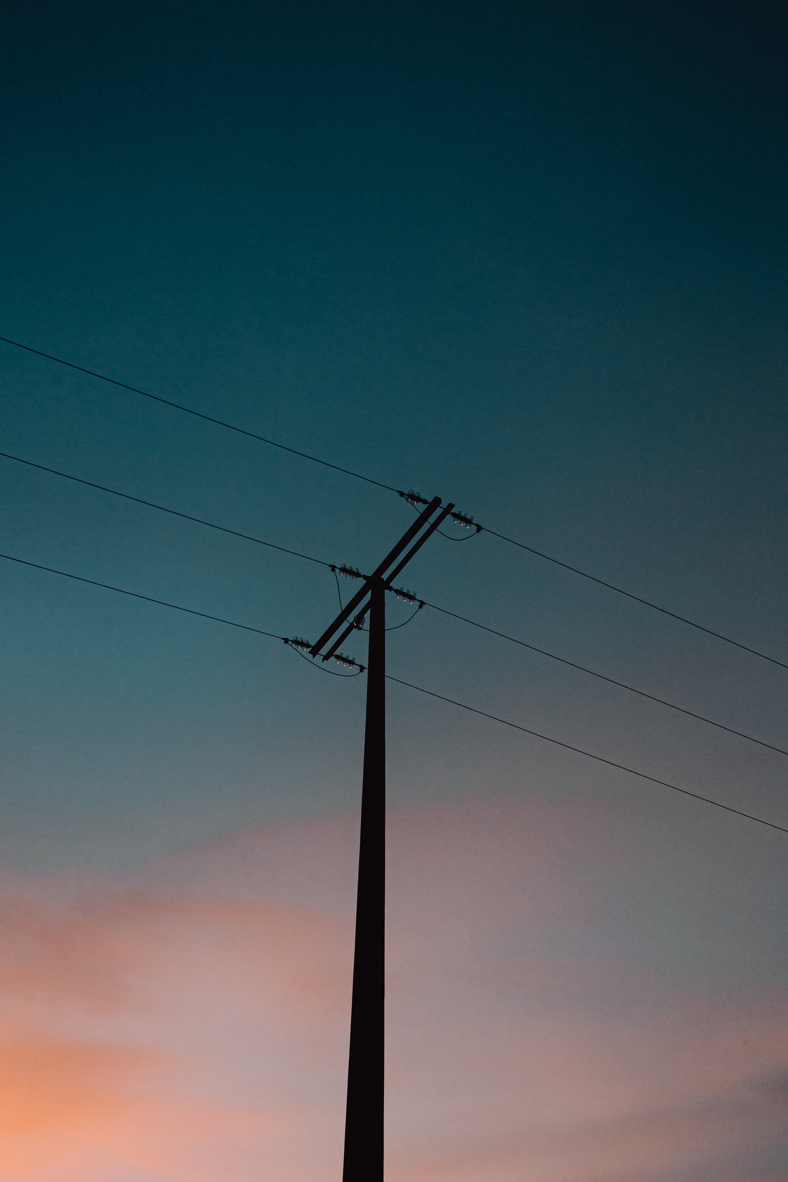 collection-banner-image